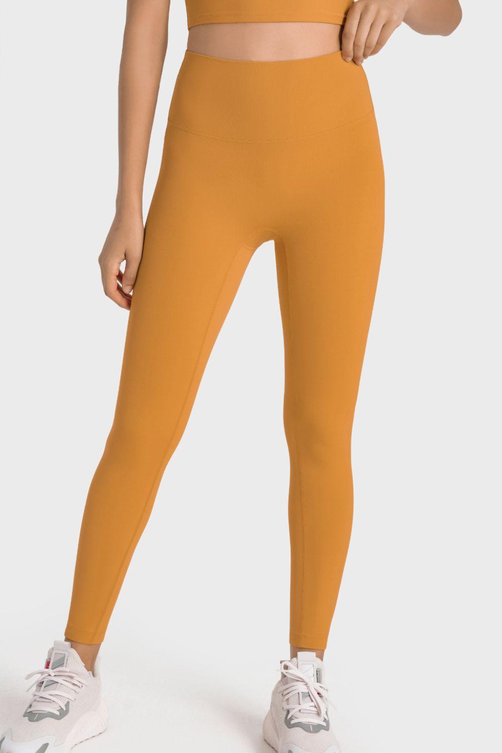 High-Rise Wide Waistband Yoga Leggings - Lecatta